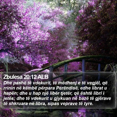 Zbulesa 20:12 ALB Bible Verse Image