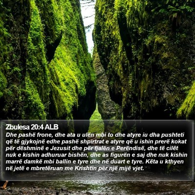 Zbulesa 20:4 ALB Bible Verse Image