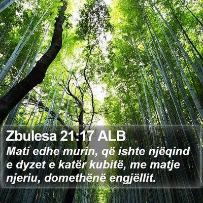 Zbulesa 21:17 ALB Bible Verse Image