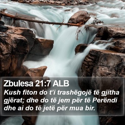 Zbulesa 21:7 ALB Bible Verse Image