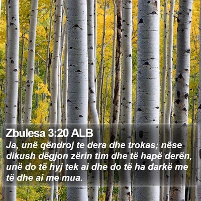 Zbulesa 3:20 ALB Bible Verse Image
