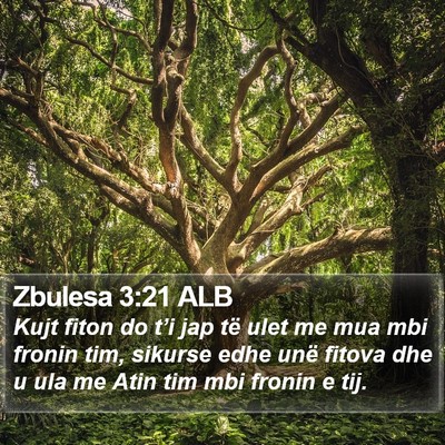 Zbulesa 3:21 ALB Bible Verse Image