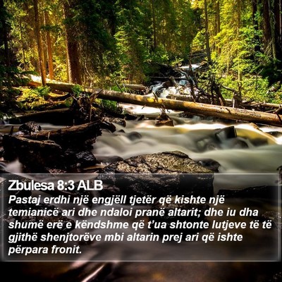 Zbulesa 8:3 ALB Bible Verse Image