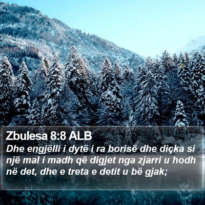 Zbulesa 8:8 ALB Bible Verse Image