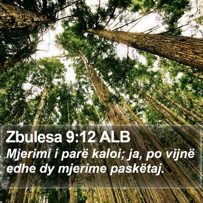 Zbulesa 9:12 ALB Bible Verse Image