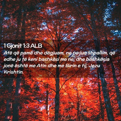 Picture 02 - 1 Gjonit 1:3 ALB - Atë që pamë dhe dëgjuam, ne po jua shpallim, - Bible Verse Picture
