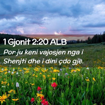 Picture 02 - 1 Gjonit 2:20 ALB - Por ju keni vajosjen nga i Shenjti dhe i dini - Bible Verse Picture