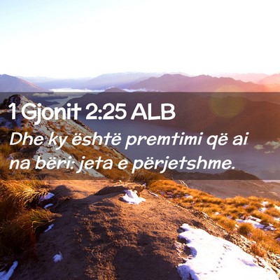 Picture 02 - 1 Gjonit 2:25 ALB - Dhe ky është premtimi që ai na bëri: jeta e - Bible Verse Picture