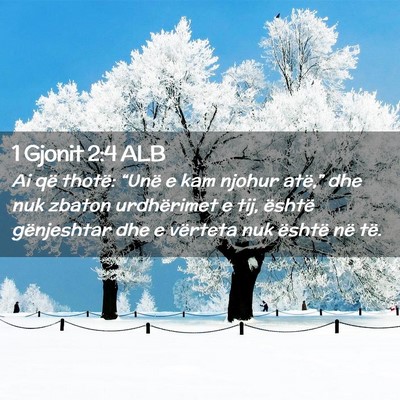Picture 02 - 1 Gjonit 2:4 ALB - Ai që thotë: “Unë e kam njohur atë,” dhe - Bible Verse Picture