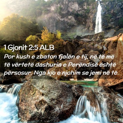 Picture 02 - 1 Gjonit 2:5 ALB - Por kush e zbaton fjalën e tij, në të me të - Bible Verse Picture
