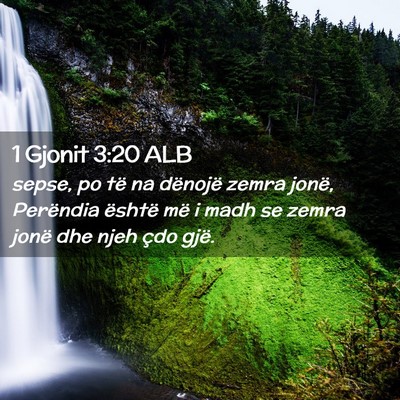 Picture 02 - 1 Gjonit 3:20 ALB - sepse, po të na dënojë zemra jonë, Perëndia - Bible Verse Picture