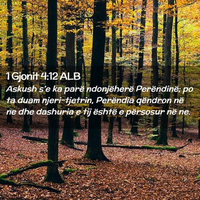 Picture 02 - 1 Gjonit 4:12 ALB - Askush s’e ka parë ndonjëherë Perëndinë; - Bible Verse Picture