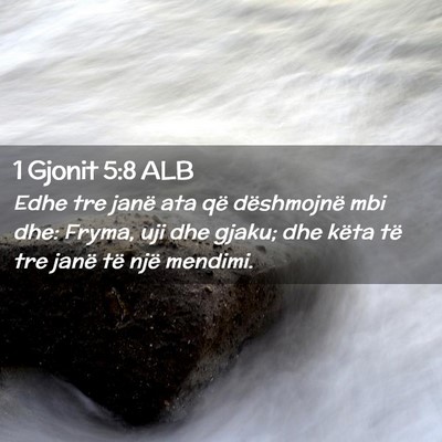 Picture 02 - 1 Gjonit 5:8 ALB - Edhe tre janë ata që dëshmojnë mbi dhe: - Bible Verse Picture