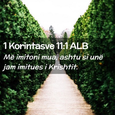 Picture 02 - 1 Korintasve 11:1 ALB - Më imitoni mua, ashtu si unë jam imitues i - Bible Verse Picture