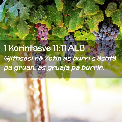Picture 02 - 1 Korintasve 11:11 ALB - Gjithsesi në Zotin as burri s’është pa - Bible Verse Picture