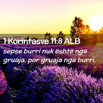 Picture 02 - 1 Korintasve 11:8 ALB - sepse burri nuk është nga gruaja, por gruaja - Bible Verse Picture