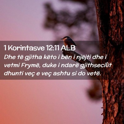 Picture 02 - 1 Korintasve 12:11 ALB - Dhe të gjitha këto i bën i njëjti dhe i vetmi - Bible Verse Picture