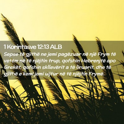 Picture 02 - 1 Korintasve 12:13 ALB - Sepse të gjithë ne jemi pagëzuar në një Frym - Bible Verse Picture