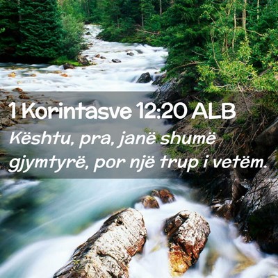 Picture 02 - 1 Korintasve 12:20 ALB - Kështu, pra, janë shumë gjymtyrë, por një - Bible Verse Picture
