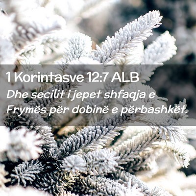 Picture 02 - 1 Korintasve 12:7 ALB - Dhe secilit i jepet shfaqja e Frymës për - Bible Verse Picture