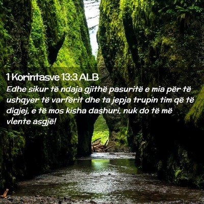 Picture 02 - 1 Korintasve 13:3 ALB - Edhe sikur të ndaja gjithë pasuritë e mia për - Bible Verse Picture