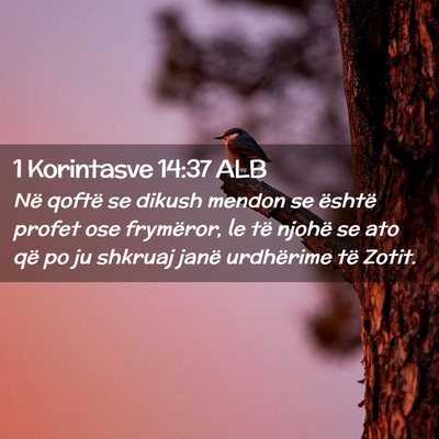 Picture 02 - 1 Korintasve 14:37 ALB - Në qoftë se dikush mendon se është profet ose - Bible Verse Picture