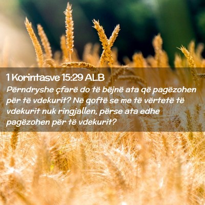 Picture 02 - 1 Korintasve 15:29 ALB - Përndryshe çfarë do të bëjnë ata që - Bible Verse Picture