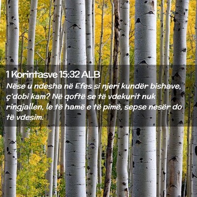Picture 02 - 1 Korintasve 15:32 ALB - Nëse u ndesha në Efes si njeri kundër bishave, - Bible Verse Picture