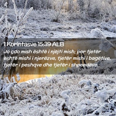Picture 02 - 1 Korintasve 15:39 ALB - Jo çdo mish është i njëjti mish; por tjetër - Bible Verse Picture