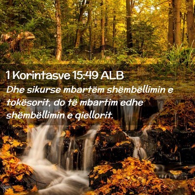 Picture 02 - 1 Korintasve 15:49 ALB - Dhe sikurse mbartëm shëmbëllimin e tokësorit, - Bible Verse Picture