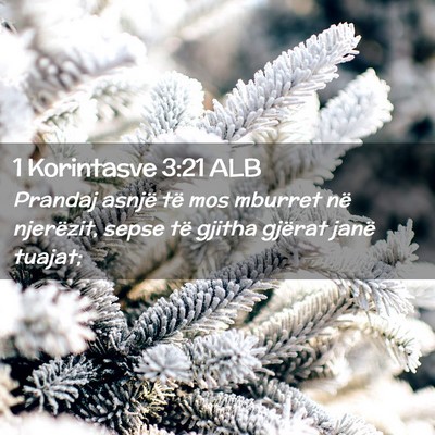 Picture 02 - 1 Korintasve 3:21 ALB - Prandaj asnjë të mos mburret në njerëzit, - Bible Verse Picture