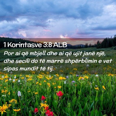 Picture 02 - 1 Korintasve 3:8 ALB - Por ai që mbjell dhe ai që ujit janë një, dhe - Bible Verse Picture