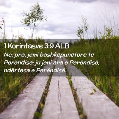 Picture 02 - 1 Korintasve 3:9 ALB - Ne, pra, jemi bashkëpunëtorë të Perëndisë; - Bible Verse Picture