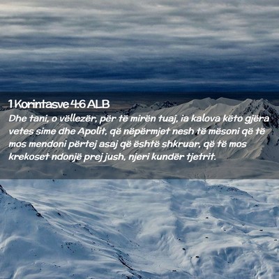 Picture 02 - 1 Korintasve 4:6 ALB - Dhe tani, o vëllezër, për të mirën tuaj, ia - Bible Verse Picture