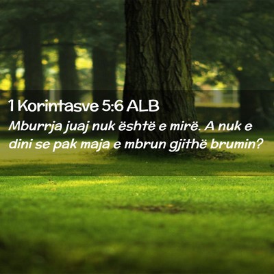 Picture 02 - 1 Korintasve 5:6 ALB - Mburrja juaj nuk është e mirë. A nuk e dini se - Bible Verse Picture