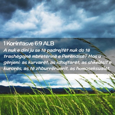 Picture 02 - 1 Korintasve 6:9 ALB - A nuk e dini ju se të padrejtët nuk do të - Bible Verse Picture