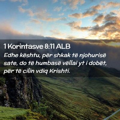 Picture 02 - 1 Korintasve 8:11 ALB - Edhe kështu, për shkak të njohurisë sate, do - Bible Verse Picture