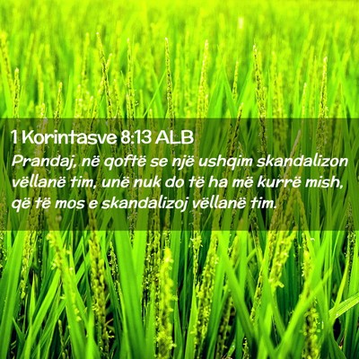 Picture 02 - 1 Korintasve 8:13 ALB - Prandaj, në qoftë se një ushqim skandalizon - Bible Verse Picture