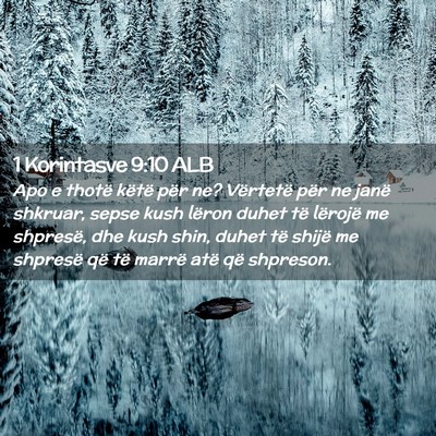Picture 02 - 1 Korintasve 9:10 ALB - Apo e thotë këtë për ne? Vërtetë për ne - Bible Verse Picture