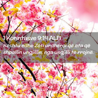 Picture 02 - 1 Korintasve 9:14 ALB - Kështu edhe Zoti urdhëroi që ata që shpallin - Bible Verse Picture