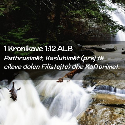 Picture 02 - 1 Kronikave 1:12 ALB - Pathrusimët, Kasluhimët (prej të cilëve - Bible Verse Picture