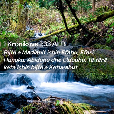 Picture 02 - 1 Kronikave 1:33 ALB - Bijtë e Madianit ishin Efahu, Eferi, Hanoku, - Bible Verse Picture