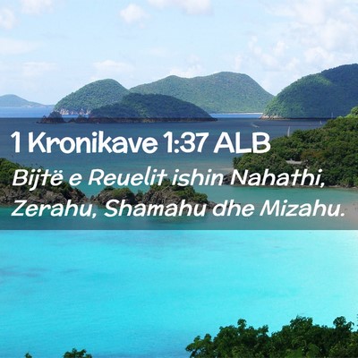 Picture 02 - 1 Kronikave 1:37 ALB - Bijtë e Reuelit ishin Nahathi, Zerahu, Shamahu - Bible Verse Picture