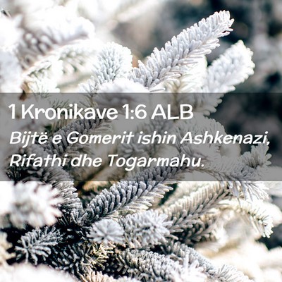 Picture 02 - 1 Kronikave 1:6 ALB - Bijtë e Gomerit ishin Ashkenazi, Rifathi dhe - Bible Verse Picture
