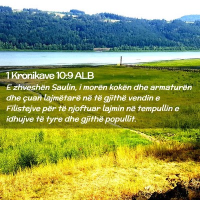 Picture 02 - 1 Kronikave 10:9 ALB - E zhveshën Saulin, i morën kokën dhe - Bible Verse Picture