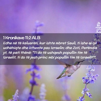 Picture 02 - 1 Kronikave 11:2 ALB - Edhe në të kaluarën, kur ishte mbret Sauli, ti - Bible Verse Picture