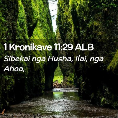 Picture 02 - 1 Kronikave 11:29 ALB - Sibekai nga Husha, Ilai, nga - Bible Verse Picture