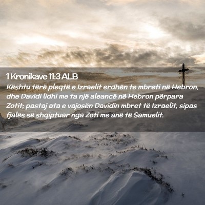 Picture 02 - 1 Kronikave 11:3 ALB - Kështu tërë pleqtë e Izraelit erdhën te - Bible Verse Picture