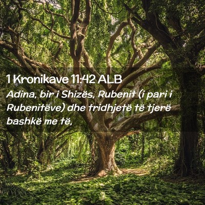 Picture 02 - 1 Kronikave 11:42 ALB - Adina, bir i Shizës, Rubenit (i pari i - Bible Verse Picture