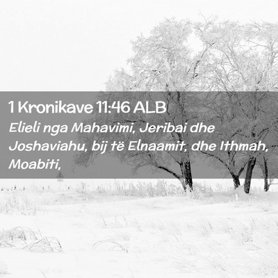 Picture 02 - 1 Kronikave 11:46 ALB - Elieli nga Mahavimi, Jeribai dhe Joshaviahu, bij - Bible Verse Picture
